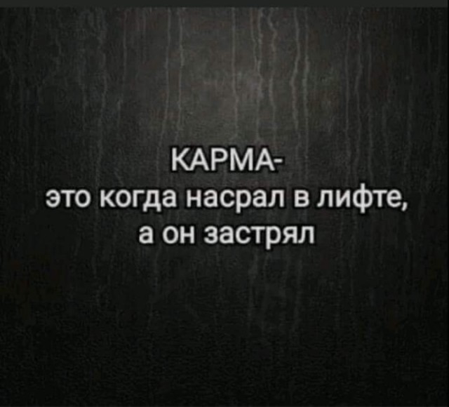 Всяческие картинки 24.11.2021