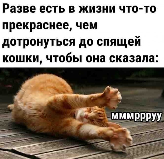 Баянисто-небаянистый юмор 27.01.22