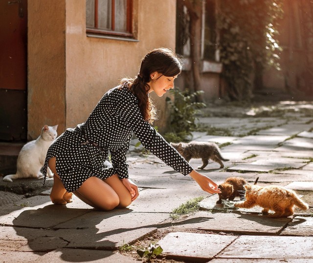 Девушки котовторника