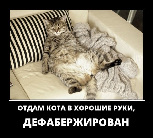 Картинки и буквы 15.07.22