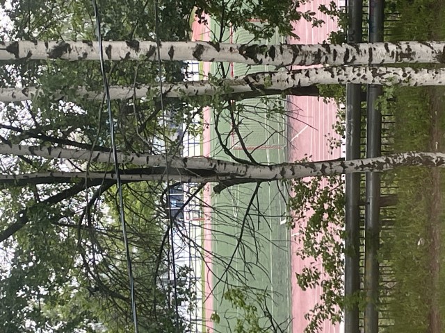 Якут выгоняет кавказцев с детской площадки