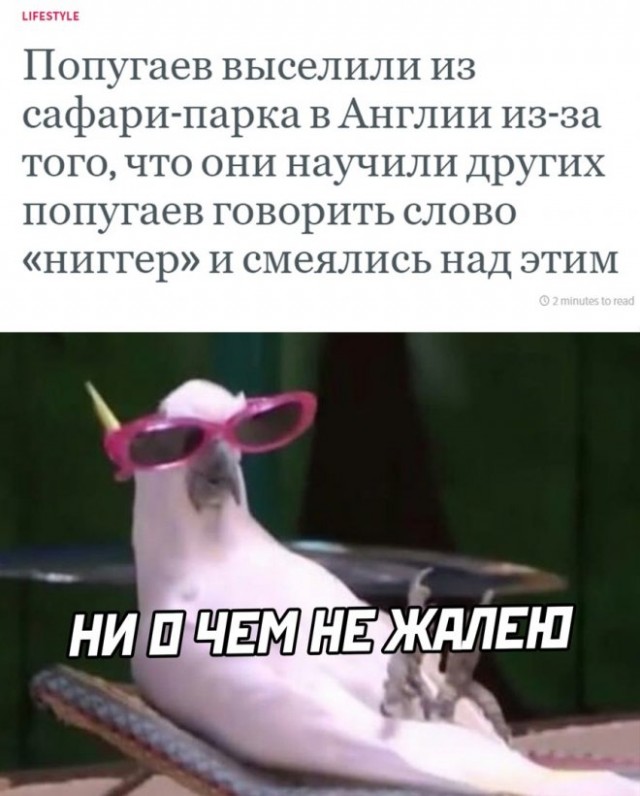Немного картинок для настроения - 112