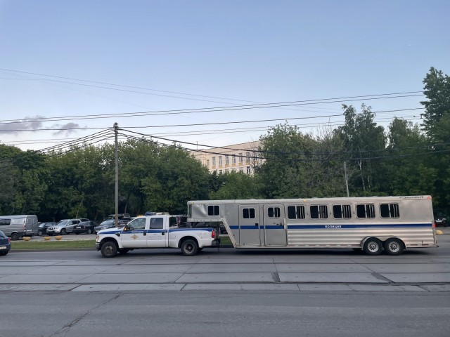 Прикольные и просто красивые картинки 10.08.2022