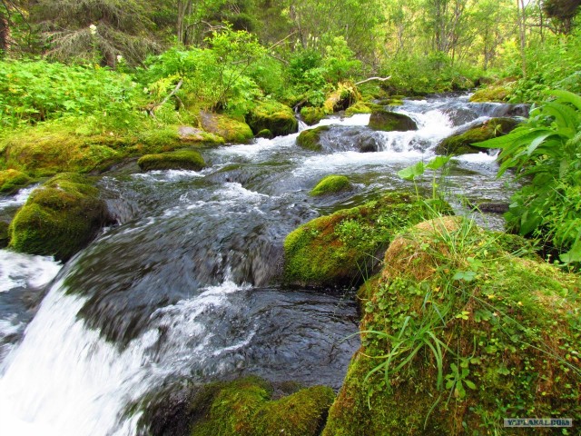 Трекинг по Ловозерским тундрам