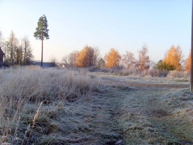 Поздней осенью в деревне