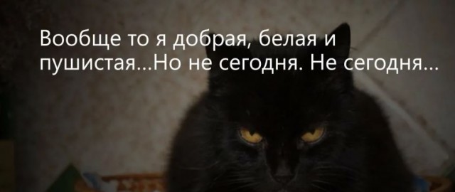 Победная поступь идиотизма по планете – том 2