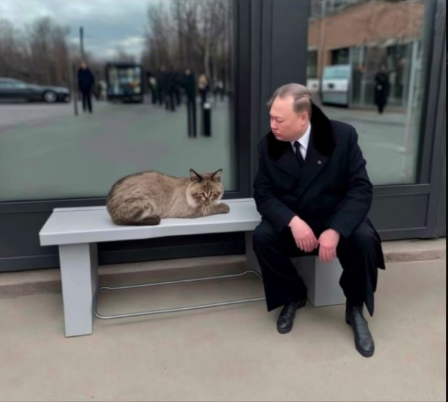 Красота и мрак нейросетей
