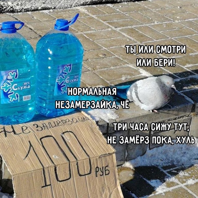 Немного картинок для настроения - 131