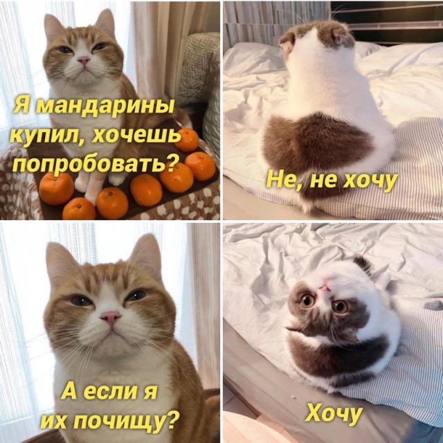 Картинки и мемы, всем хороших выходных