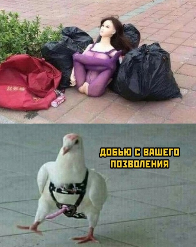 Картинки и мемы, всем хороших выходных