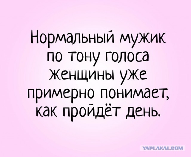 Так себе картинки 17.01.23