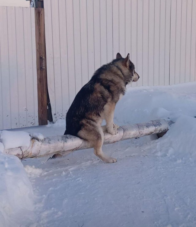 Холодно, греемся.