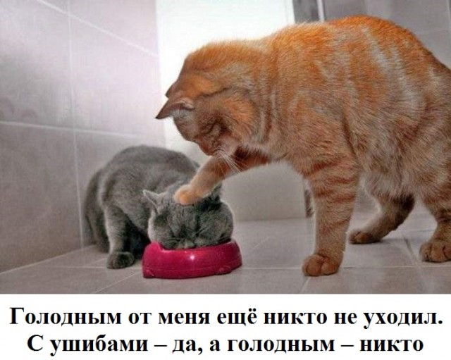 Картинки с надписями 27 02 23