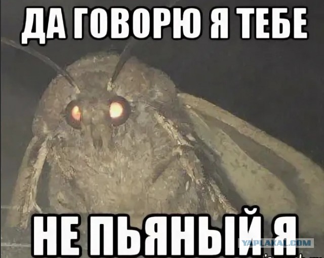 Как я чифир завариваю