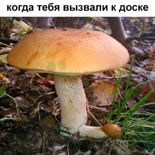 Немного картинок для настроения - 153