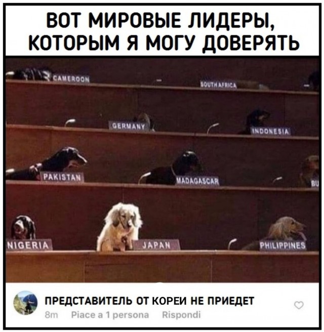 Чёрно-пошлая деградация
