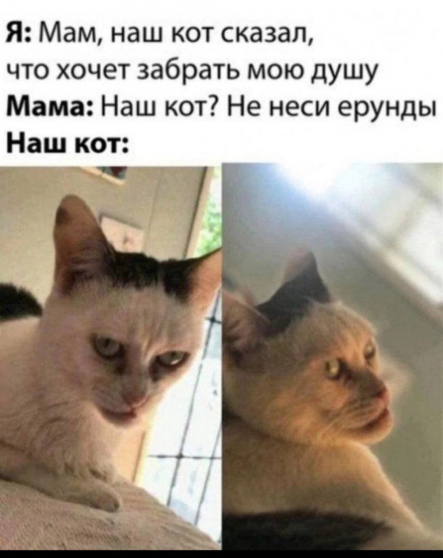 Победная поступь идиотизма по планете – том 12