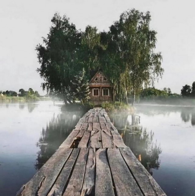 Просто фото