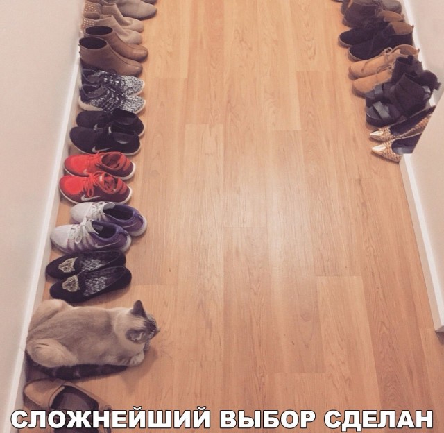 Картинки и мемы, всяко разно - 181