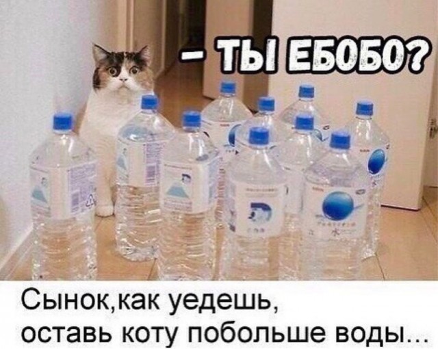 Отряд быстрого деградирования