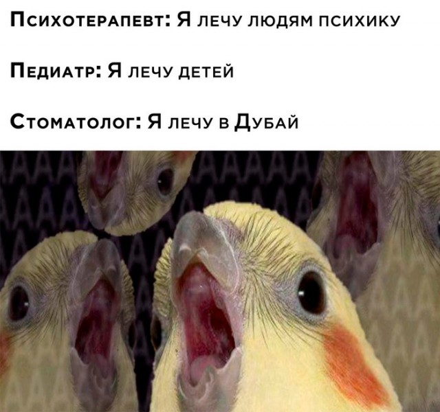 Весёлый полтишок 15.10.23