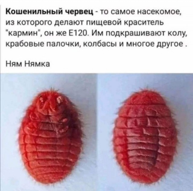 Пятничные улыбательные картинки