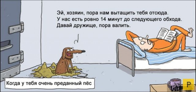 Какие-нибудь картинки