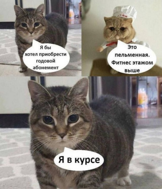 Всего понемногу. От 23.02.24