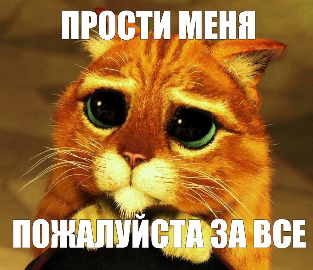 Сегодня во всех мессенджерах