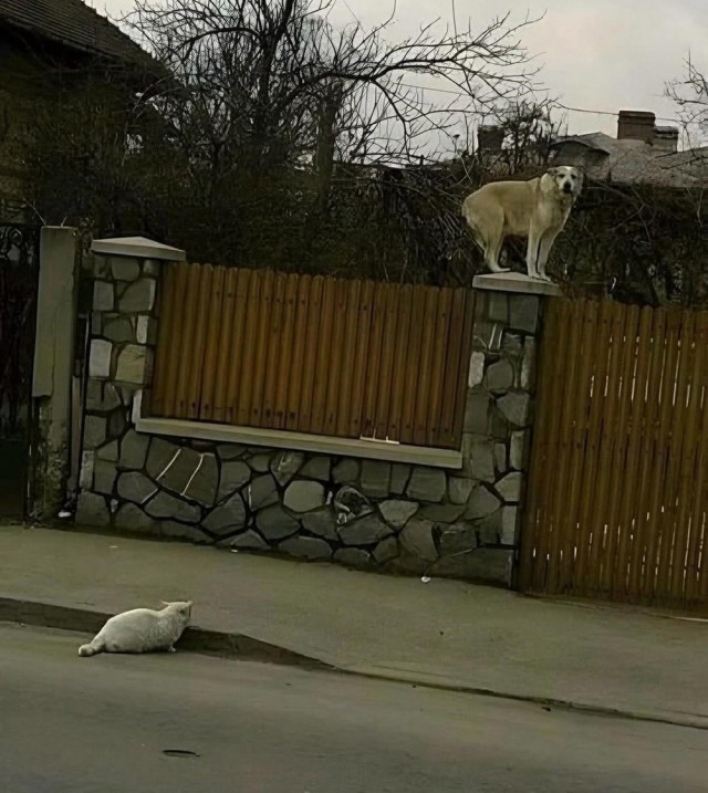 ТЛидцать тЛи от 5 апЛеля