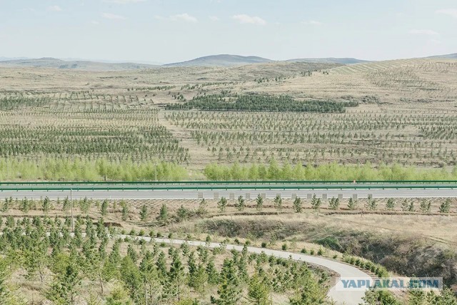Оренбург, низина, окраина города