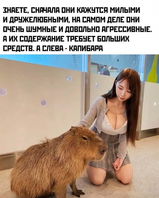 Весёлый полтишок 15.04.24
