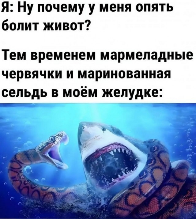 Нуштош 13.06.2024
