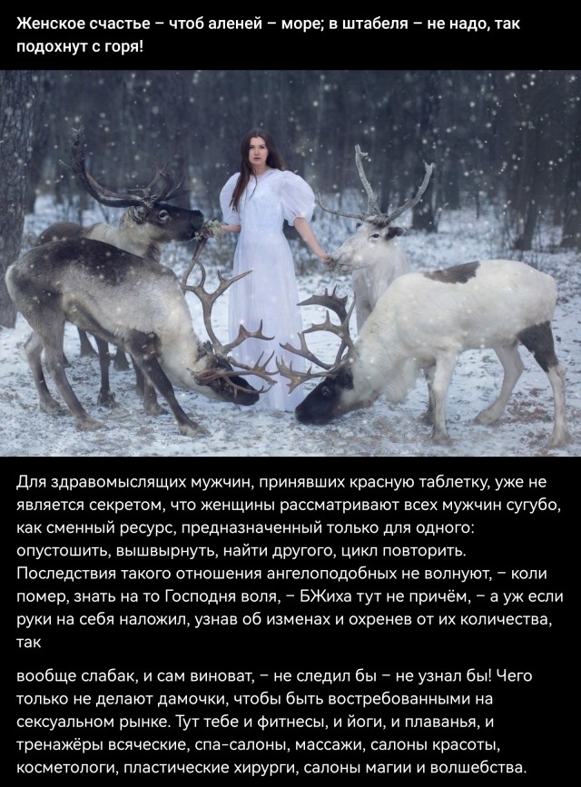 Что ищут простые русские жёны в поисковиках...