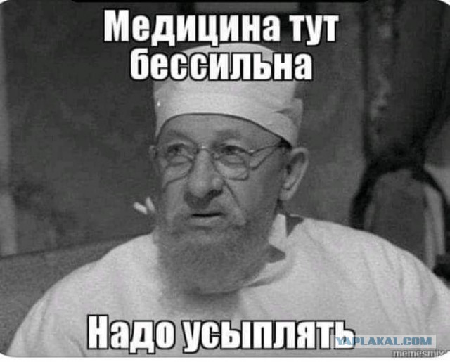 Россиянки должны рожать в перерывах на работе, заявил министр здравоохранения Приморья