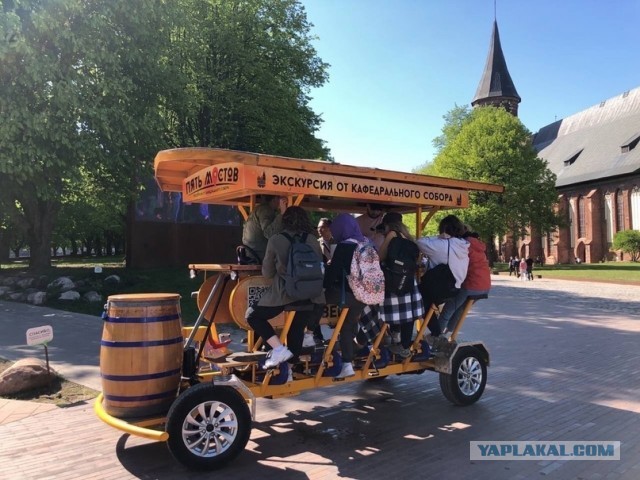 Школьный велобус в Нидерландах