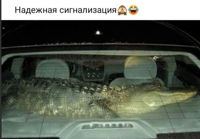 Так себе картинки 17.10.24
