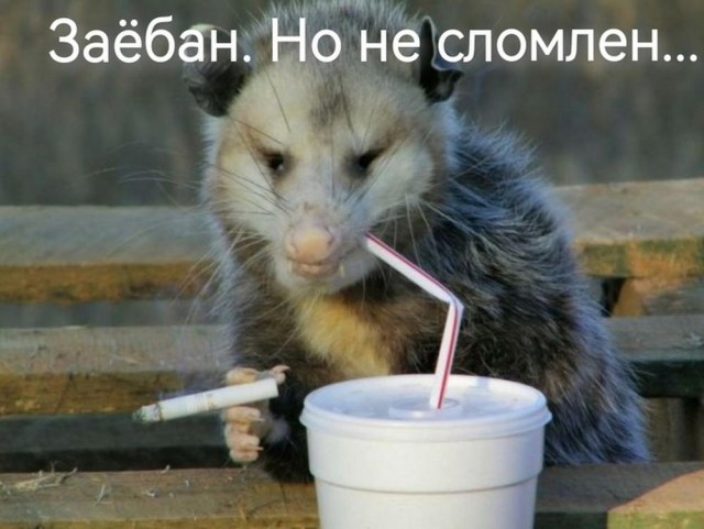 Всего понемногу. От 13.01.2025