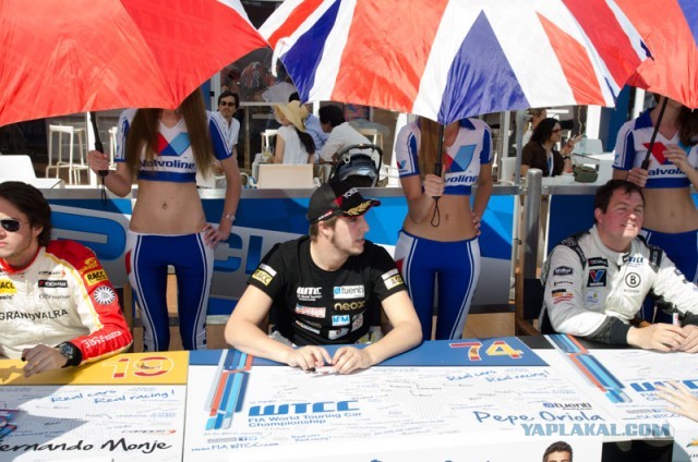 FIA WTCC, этап на Moscow Raceway