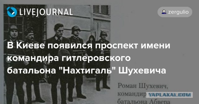 Израиль таки проверит