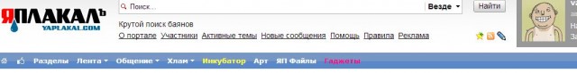 Как поймать кота