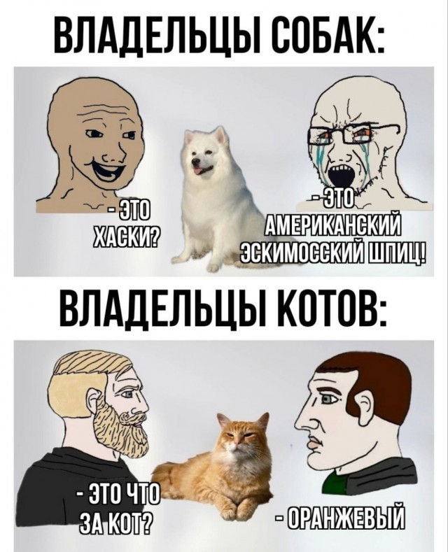 Веселые картинки