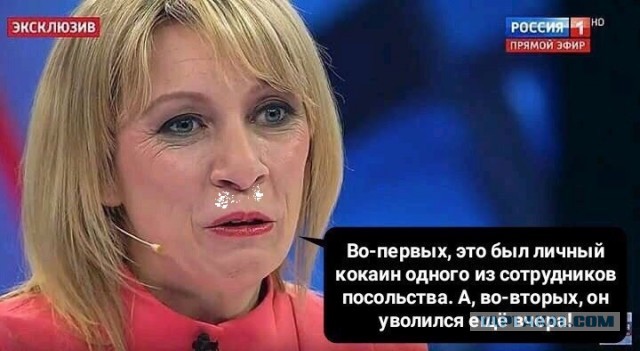 Партию кокаина на 500 000 000 рублей нашли в порту Санкт-Петербурга
