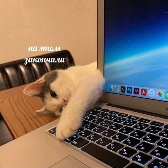 День отмазывания отмечается сегодня