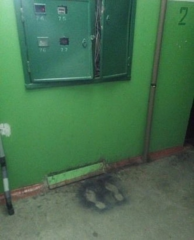 Так себе картинки 13.07.25