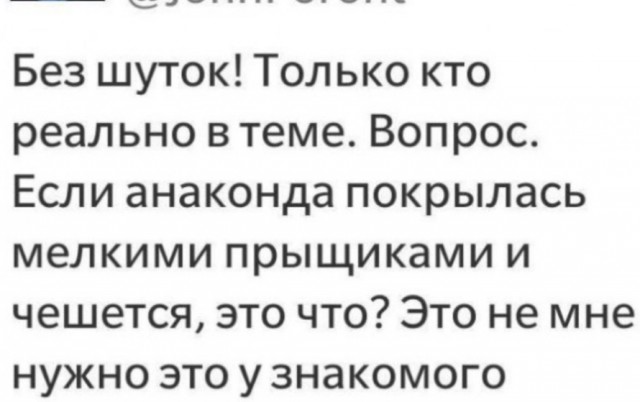 Среды картинки