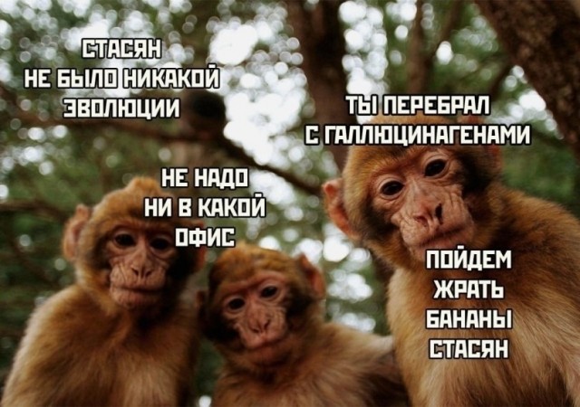 Человек будущего