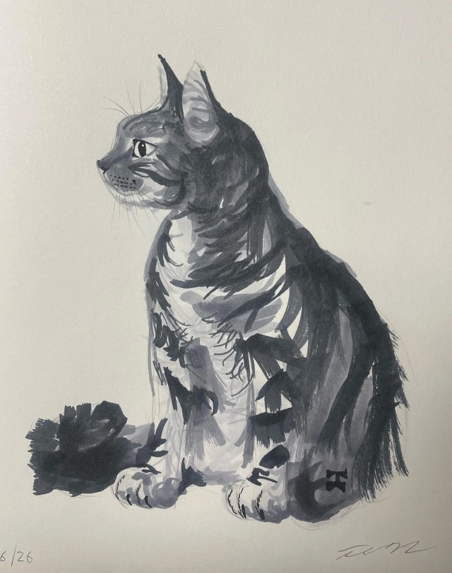 Красивое для котовторника