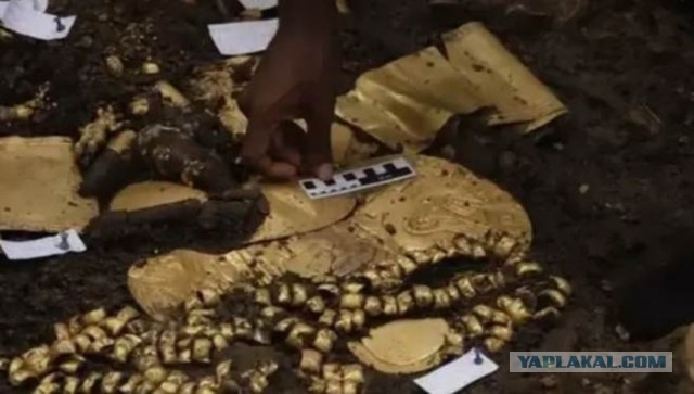 В джунглях Мексики нашли идеально сохранившийся город Майя