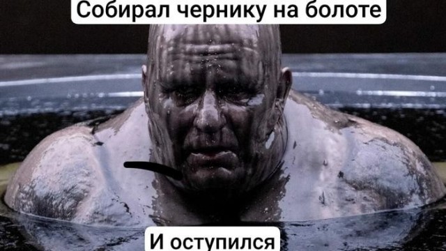 Картинки для деградации 230 (разной степени свежести)